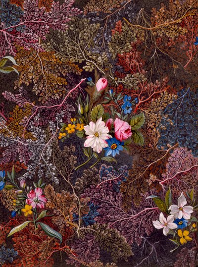Textile design, c.1788-92 by William Kilburn